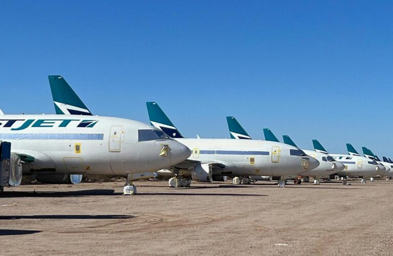 A row of WestJet Boeing 737s lined up for storage on a dirt field with a clear blue sky