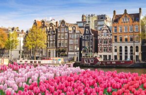 Amsterdam houses by a canal, with colorful tulips in the foreground